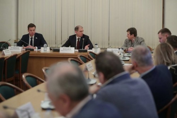 В Госдуме рассказали о целях создания Экспертного совета при парламентском комитете по контролю