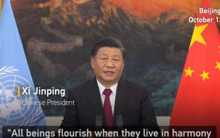 Меры по повышению привлекательности Китая на COP15 представлены Пекином