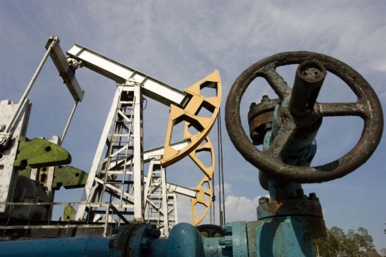 «Нефтиса» представила результаты финансово-хозяйственной деятельности по РСБУ