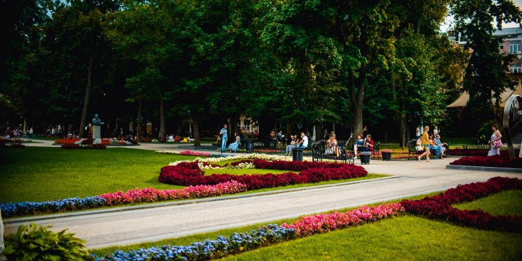Портал «Узнай Москву» и Депкультуры города Москвы разрабатывают серию прогулочных маршрутов по городским паркам