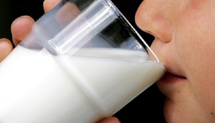 Вьетнамцы осваивают молочный бизнес в Подмосковье